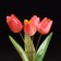 Souvenir "Vase Tulip", 5 flowers, selenite, small, selenite