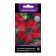 Flower seeds petunia Grandiflora Superkascad Burgundy, 10pcs