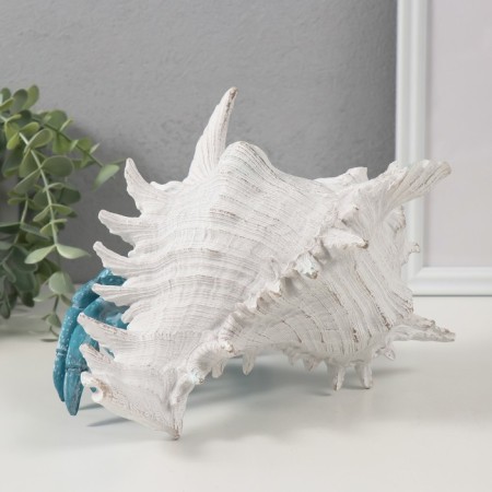 Souvenir Polystone "Coral Rif. Crab in the shell" 23.5x23.5x17.8 cm-2