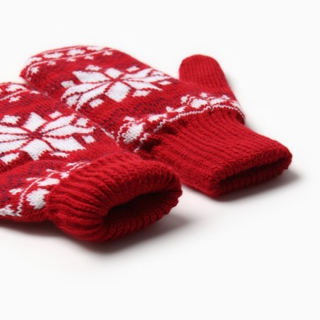 Women's mittens in the gift box "Dwarfs" p.19-4