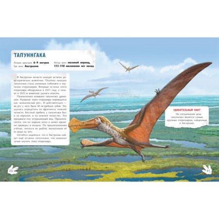 Book with stickers "Flying Predators", Burtseva N.-2