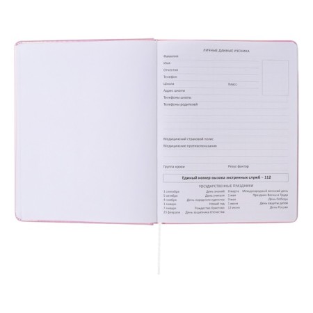 Universal diary for grade 1-11 Bear King, solid cover, artificial leather, foam rubber, silkography, liesse, 80 g/m2-3