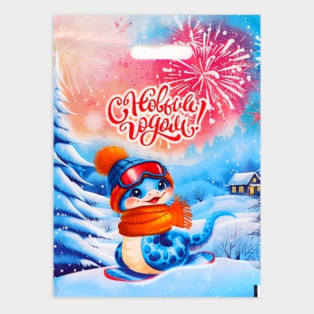 New Year. The Snowboarder Snake package, plastic with a cut pen, 30 x 40 cm.