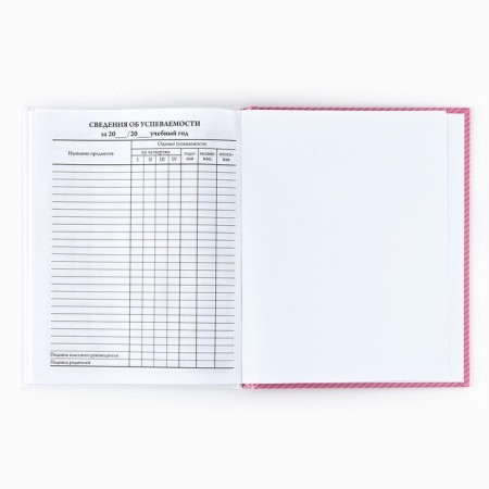 School diary for grade 1-11, in a solid cover, 40 l. "Cat"-4