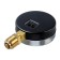 Thermomanometer "CTM", radial, DK 80 mm, 0.6 MPa, external thread 1/4 ", 120 ° C