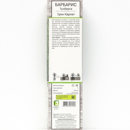 Barberis Tunberg "Green Carpet", 1 pc, tube, spring 2024-1
