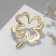 Brooch "Clover" contour, color gold