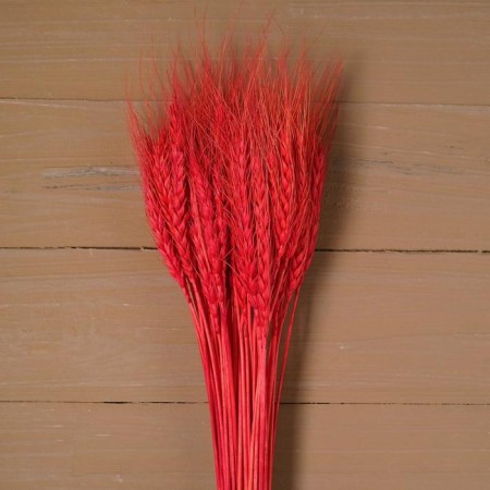 Dry Column of wheat, set 50 pcs., Red color-2