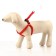 COMPORTS COLLECT COMBODY, 1.5 cm, Osh 36-50 cm, og 40-55 cm, red