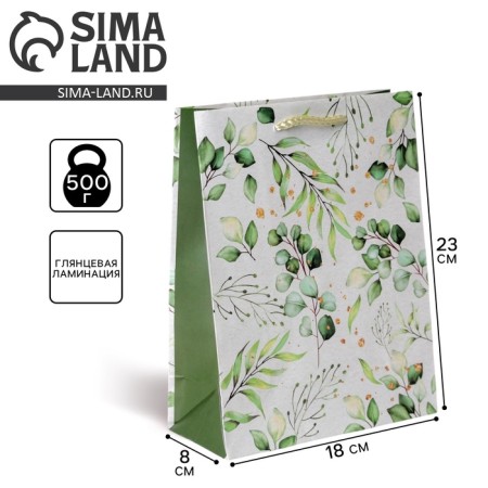 Gift laminated package, packaging, Pressent for You, MS 18 x 23 x 8 cm