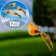 Plug "bird Blue Blue" 3x3cm/14cm, set 12pcs