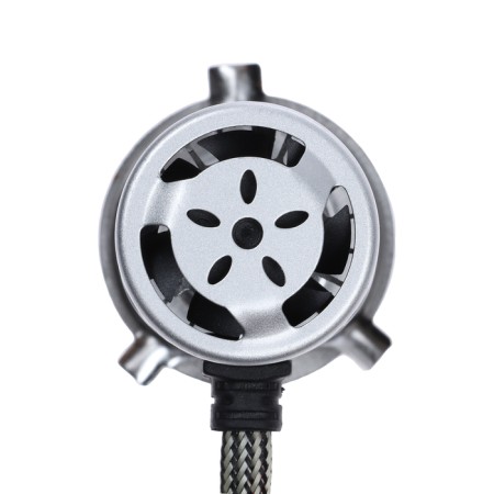LED lamp DLED H4, C6 Original, 12V, 6500K, in a set 2 pcs-4