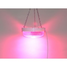 Fitolamps for mini tombs 