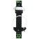 Snow Cat Snow Cat: Ski 120 cm skiing, sticks 95 cm