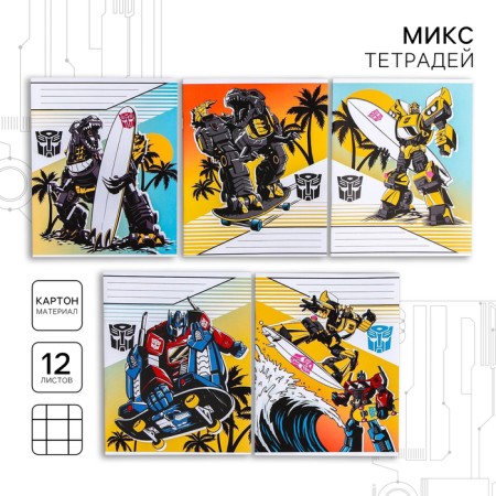 Notebook in a cage 12 sheets, 5 types of mix, cover covering cardboard, transformers