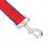 Leash 5 m x 3 cm, blue-red