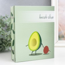 Photo album in 100 photos 13x18 cm 