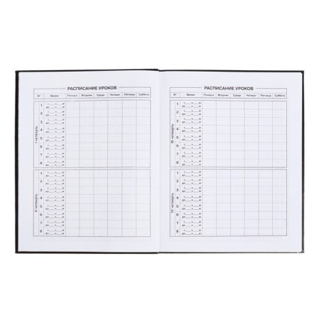 School diary for grades 1-11 "Leo", covered cardboard, glossy lamination, embossing foil, universal cheat sheet, 48 sheets, block 65g/m2-6