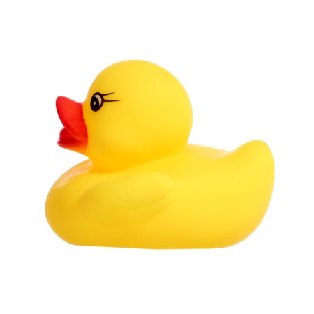 A set of toys for the bath "Catch a duck", 5 objects, color mix-6