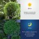 Lamp Garden Era on the Solar Battery LED, IP54