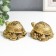 NECK Polystone for bronze "Two scoops with symbols on the shells" set 2 pcs 3.5x5.5 cm