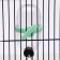 Drill for rodents, 60 ml, transparent with green mount