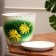Flower Gerbera Green Green 5 L