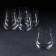 A set of glasses for whiskey Alca, 350 ml, 6 pcs