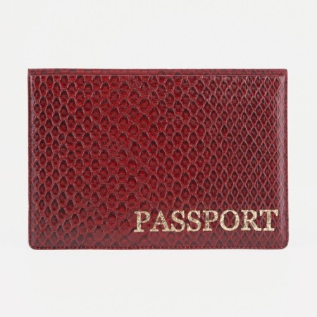 Cover for passport, red color-1