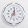 Watch wall "Rose Fetida", D-27 cm, dial 20 cm, discrete move