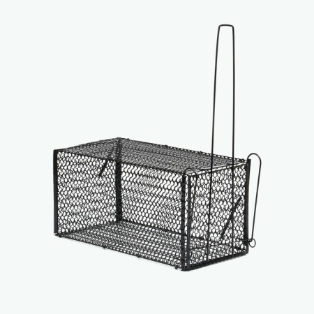 Rat, 36 × 17 × 17 cm, metal, Greengo-1