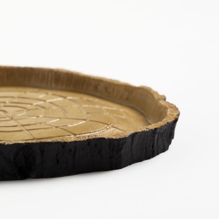 Feeder - drinker for terrarium, 16.5 x 15.5 x 1.5 cm-2