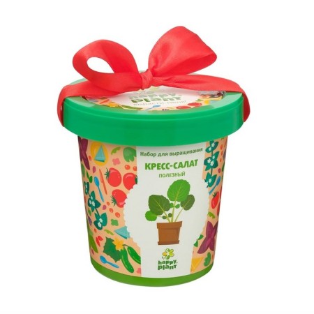 Set for creativity "Pot" "Cross-Salates Useful"