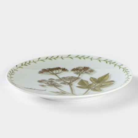Porcelain plate "Botanika. Dry ", d = 20 cm-1