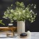 Vase Tkano Edge, 27 cm, flower color
