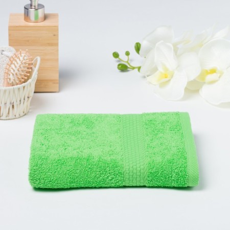 Tainted steamed smooth -painted “economy” 70x130 cm, light green color