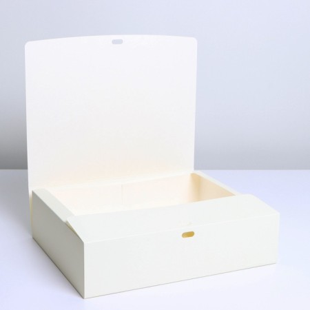 Gift folding box, packaging, "beige", 31 x 24.5 x 8 cm-3