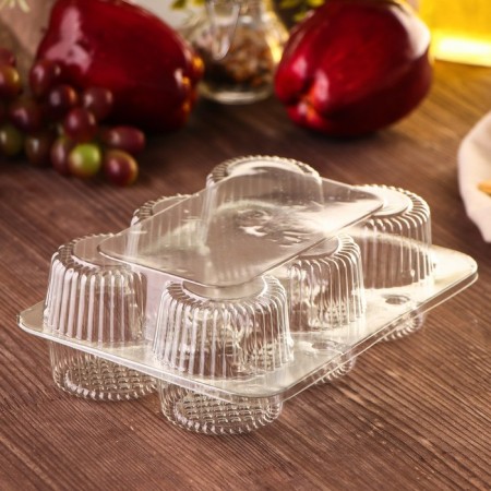The plastic disposable container with an insoluble lid U-52, 19.4 × 14 × 6.5 cm, internal. 5 × 6.1 cm, 6 cells, transparent color-1
