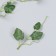 Decor for creativity "Green leaves on a twig" set 4 pcs 15 cm