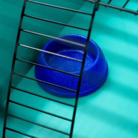The cage for rodents "Pigzon" No. 4, with a floor, equipped, 37x26x18 cm, turquoise-8