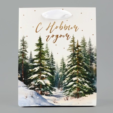 Package Gift New Year Laminated "Winter Forest", S 12 x 15 x 5.5 cm, New Year-2