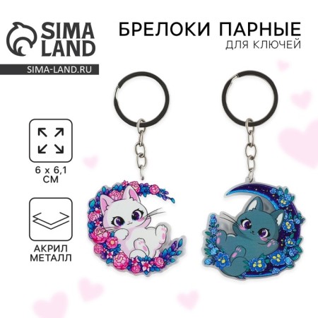 Key keychain 2 pcs "cats"