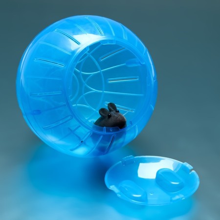 Ball for rodents "Pigger", 14.5 cm, blue-2