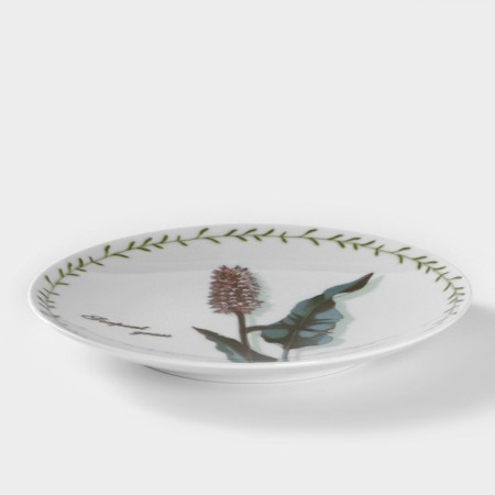 Porcelain plate "Botanika. Gindly ", d = 20 cm, white-1
