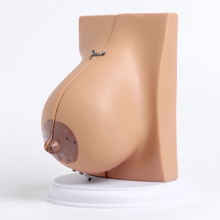 Matcage "Women's breasts in the context" 18*13*13cm