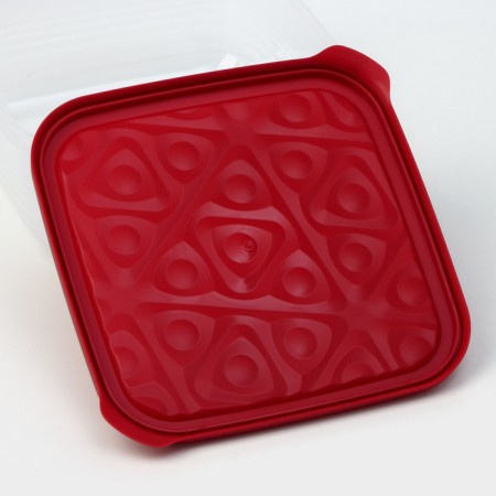 The container is plastic with the lid Flexo, 2.7 l, the color is red-5