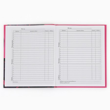 School Diary 1-4 class, in a solid cover, 48 liters "September 1: Anime Girl"-6