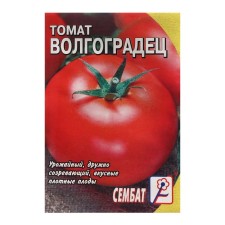 Seed Tomat 