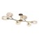 Cutilux Cutilux chandelier CL117165 96x57x19.5 cm, 6x40W, E14, Black Color Black