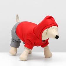 Zimovye jumpsuit for animals 
